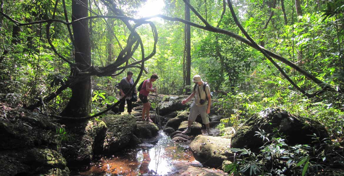 Phou Khao Khuay Orchid Trek