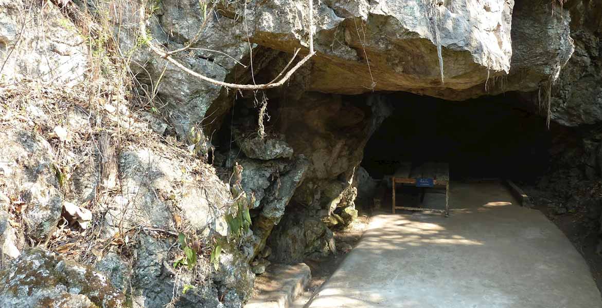 Into The Wild Of Laos